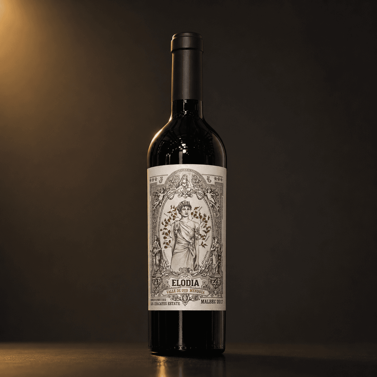 Finca Chacayes Malbec
